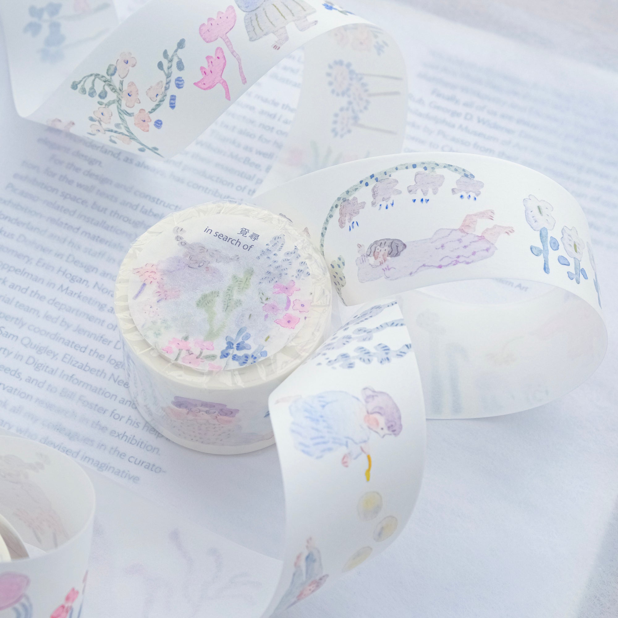 dodolulu Washi Tape - In Search Of (3.5cm)