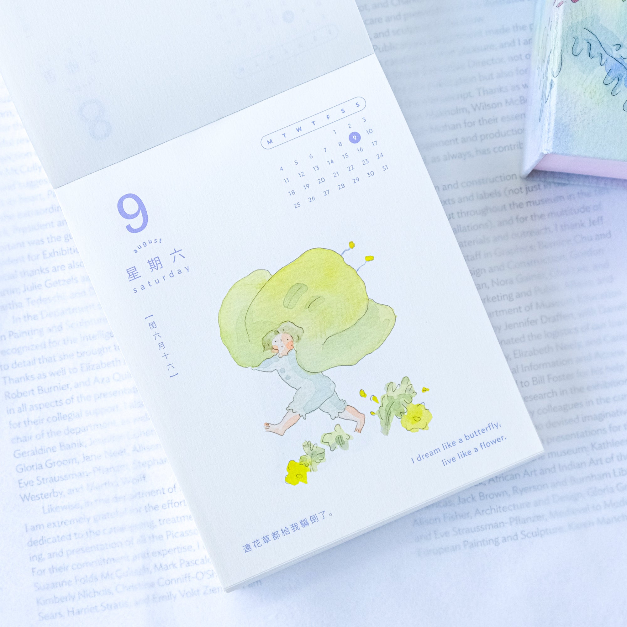 dodolulu 2025 365 Day-To-Day Desk Calendar